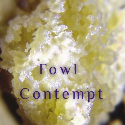 Fowl Contempt