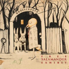 Free Salamander Exhibit - "Undestroyed"
