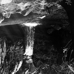 MixTapes & Live Sets