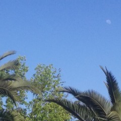 Diente Por Lengua - Salmón / Mive (Prod. DeHelio)