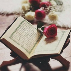 سورة إبراهيم للشيخ أبو بكر الشاطري