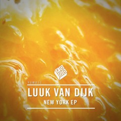 Luuk Van Dijk - Work