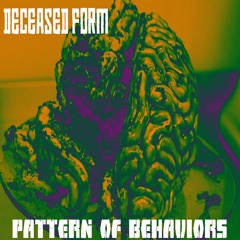 Pattern Of Behavior (Instrumental)