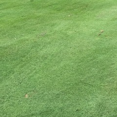 JusOne Beats "homegrown"