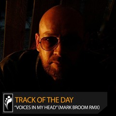 Track of the Day: Mark Fanciulli & Rob Cockerton “Voices in My Head” (Mark Broom Remix)