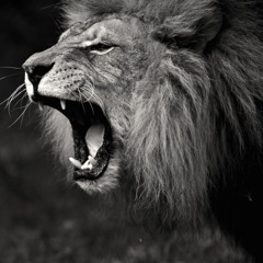 Roar Of The Lion (Produced by WoozyCollins) ft. @AdoniYahHipHop & @KurtisStanley