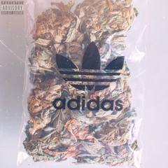 BluntBoi Count - Up Late {Prod. By PVXXP}