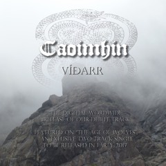 Víðarr (single)