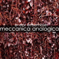 meccanica analogica