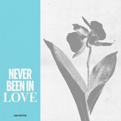Download: Sam Weston - Don't Save Face (Extended Edit)