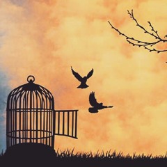 fly away ft. courtlin jabrae