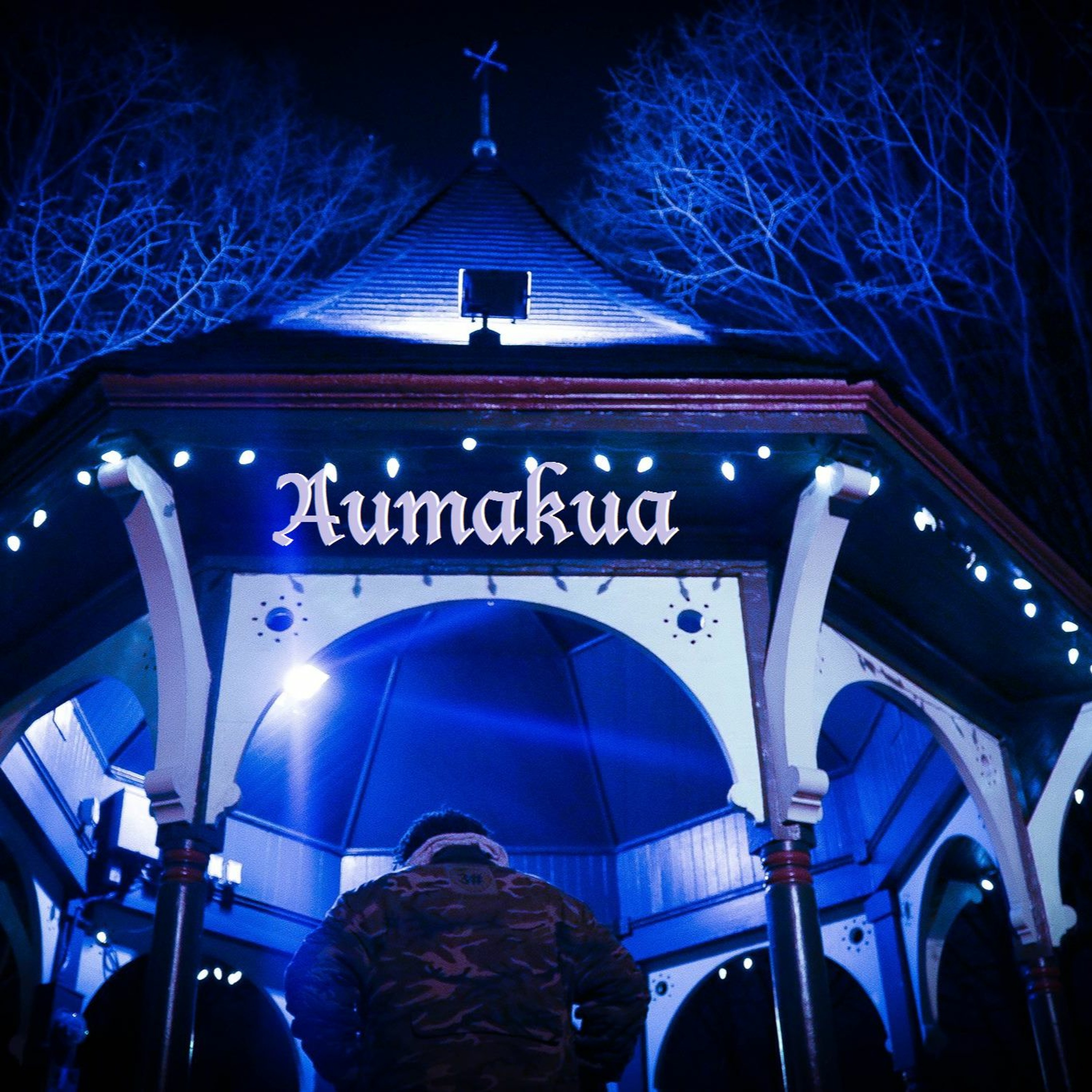Aumakua episode artwork