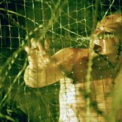 Father Focus Confucius - Barbwire ft. INF