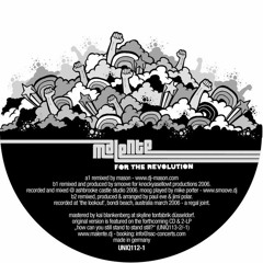 For the Revolution (Smoove & Fleg Remix)