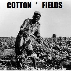Cotton Fields - Sweet Island Electronic
