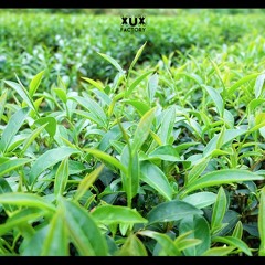 不想让你知道- Zhou Hui