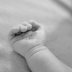 いのち feat.Saki  (piano only ver.)