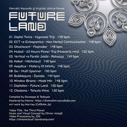 Bubbleguns - Zanaka (VA Future Land, Parvati records and Digital Shiva Power, 2016)