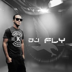Dj Fly Featuring Cecile - Set It