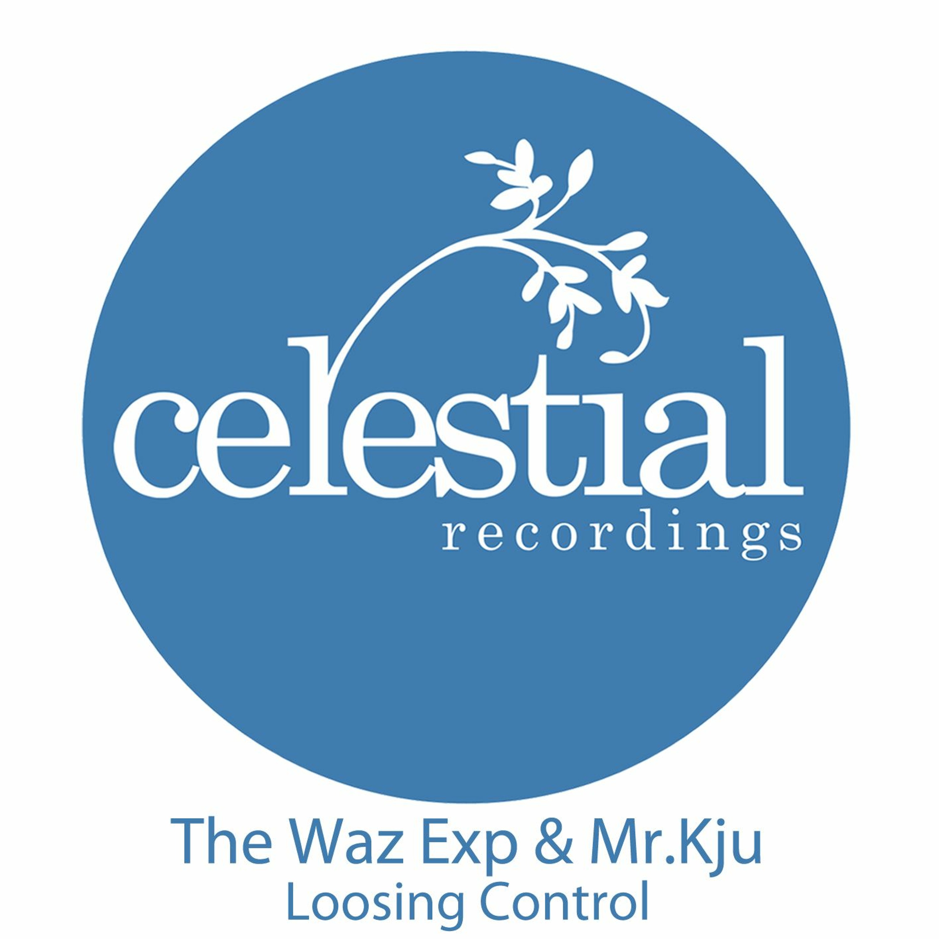 the waz exp.