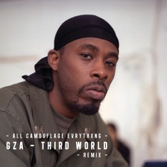 Gza - Third World (ALL CAMOUFLAGE EVRYTHXNG REMIX)