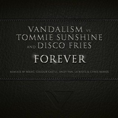 Vandalism vs Tommie Sunshine & Disco Fries - Forever (Bojac Remix)