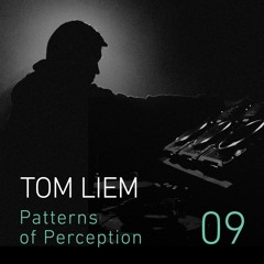 Patterns of Perception 09 - Tom Liem