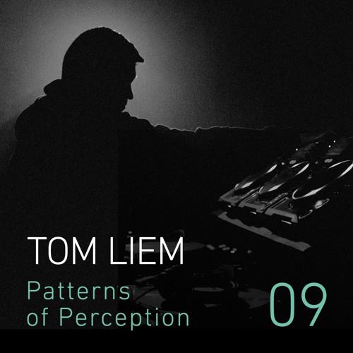 Patterns of Perception 09 - Tom Liem
