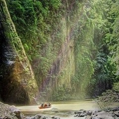 Jungle Adventure