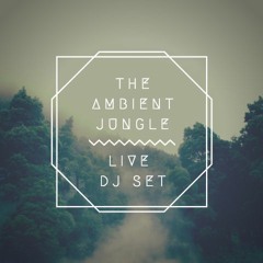 The Ambient Jungle - Temple Haze Live Set - Barkett