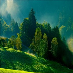 القارئ محمد صالح اليمني