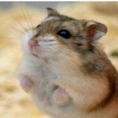 My Lovely Pet (Ino Oh Ino)