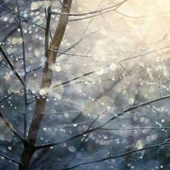 Thomas Bergersen_nero
