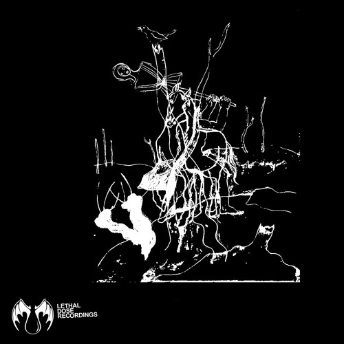 LDR 209 Rob Duke - Evil Jams (Original Mix) preview