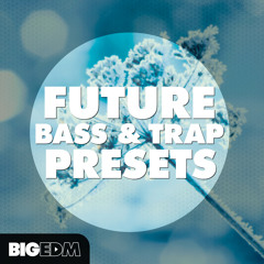 Future Bass & Trap Presets [196 Serum, Massive, Sylenth1 & Spire Sounds] #3 Beatport TOP 10!