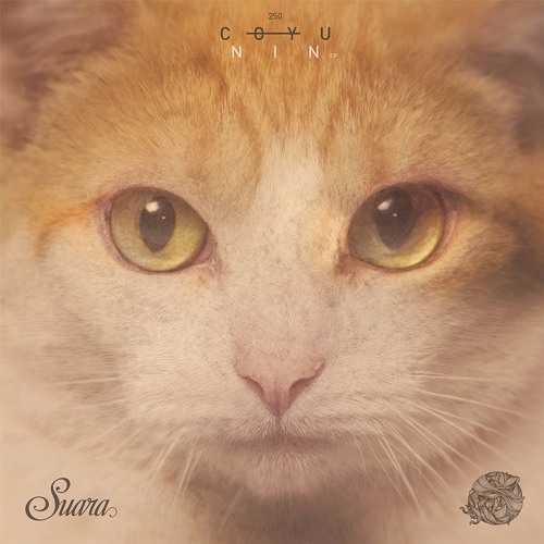 Coyu - Irreplaceable (Original Mix)