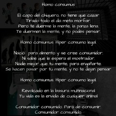 HOMO CONSUMUS