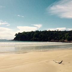 Le Sud - Nino Ferrer (cover by Salut Vous)