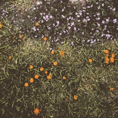 everything will be ok