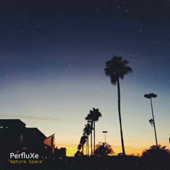 Nature Space (Original Mix)