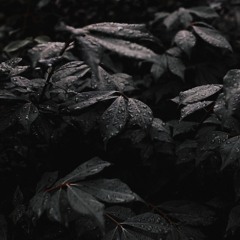 OPAQUE