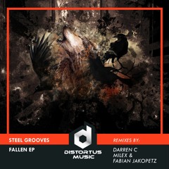 Steel Grooves - Fallen (Original Mix)