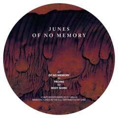 Junes - Of No Memory EP (12")