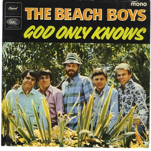 Beach Boy$ - God Only Knows (Lemi Vice & Action Jackson Remix) *free download*