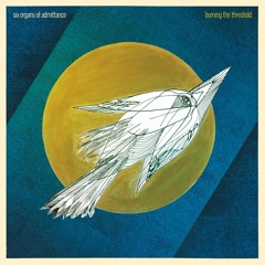 Six Organs of Admittance- "Taken By Ascent"