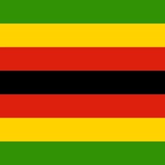 Zim_1s