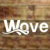 Sinais De Fogo - Preta Gil - Cover- TRIO WAVE