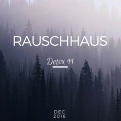 Rauschhaus | Detox 11 | Dec 2016