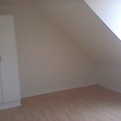 Regeringsgrundlag pt. 1