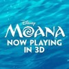 Download MOANA Film Review (TIM SIKA with PAT THURSTON on KGO 810 AM) MOANA Film Review (TIM SIKA with PAT THURSTON on KGO 810 AM)
